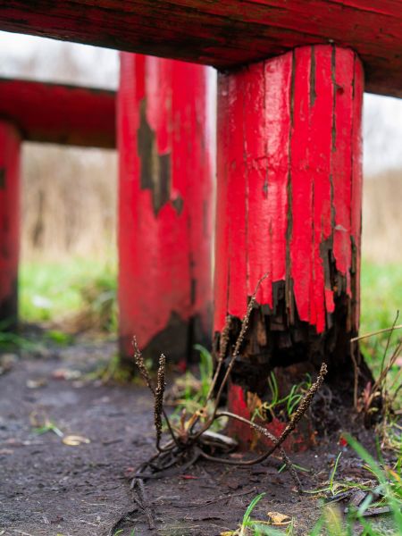 Rotten Column Replacement in Battle Ground